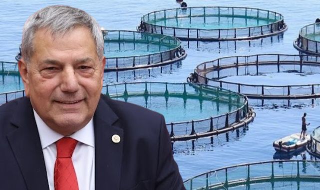 Pazar'da halka rağmen kafes balıkçılığı ısrarı sürüyor