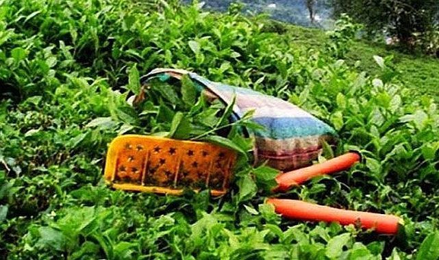 2024 yılı Yaş Çay Taban Fiyatı enflasyonun altında kaldı